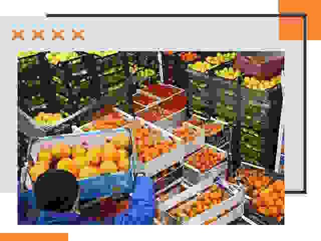 Перевозка скоропортящихся продуктов в Жигулевске